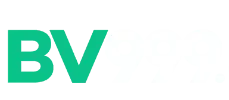 BV999 Logo